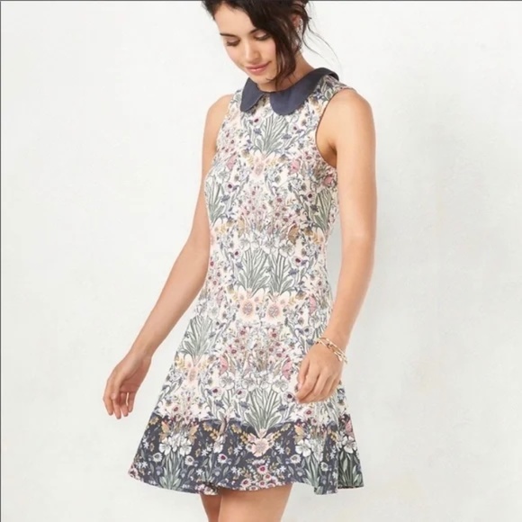 LC LAUREN CONRAD Dress Floral A-Line Crewneck Peter Pan Collar Sleeveless 10 - Picture 2 of 9